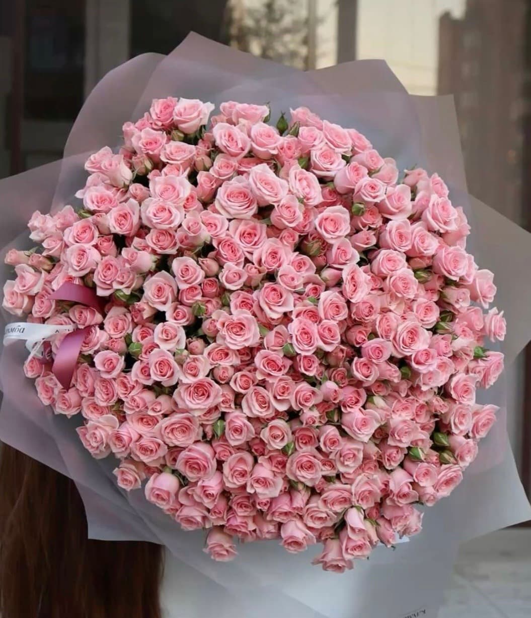 ნაზი ღია ვარდისფერი
