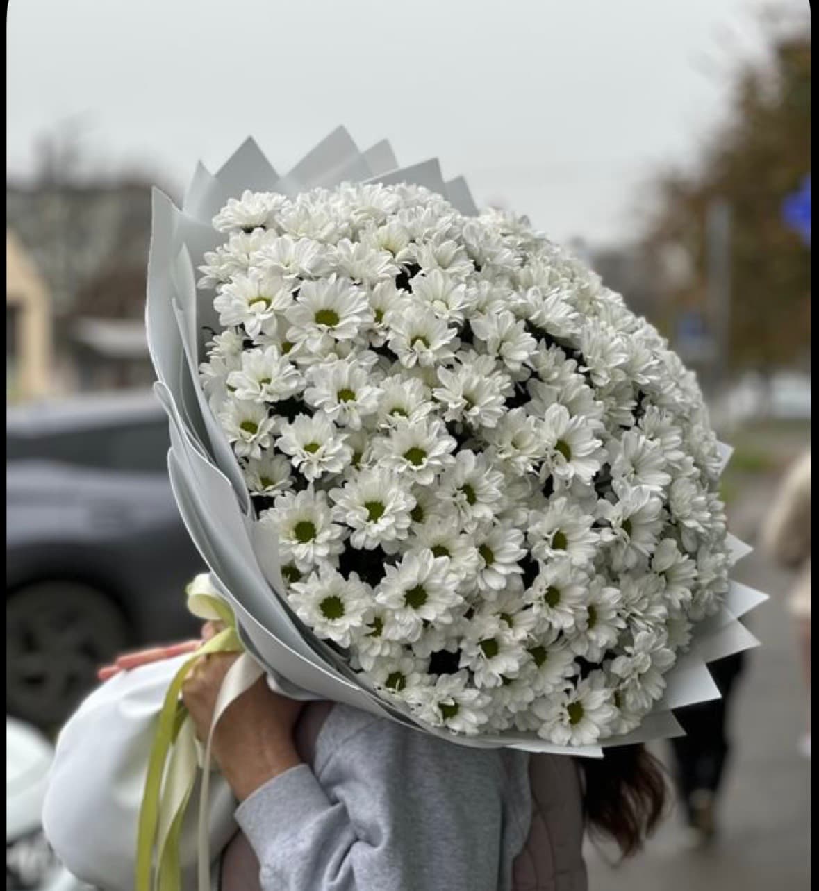 გვირილების მდელო
